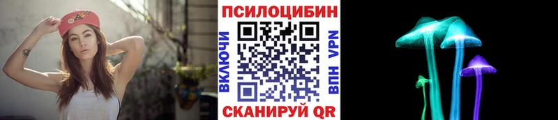 Галлюциногенные грибы Psilocybe  Купить закладки  Дербент 