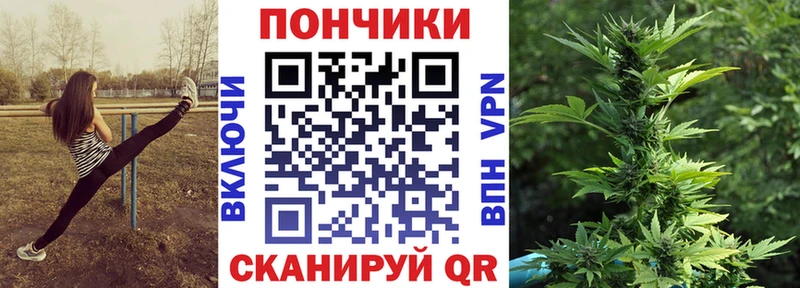 Бошки марихуана OG Kush  Купить где  Дербент 